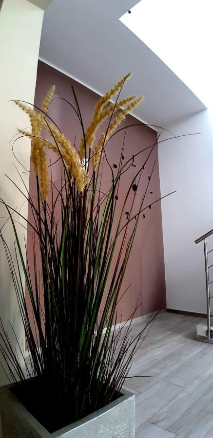 B&B Filieri Santa Maria al Bagno Exteriér fotografie